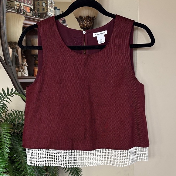 Club Monaco Tops - Club Monaco Burgundy Linen Blend Sleeveless Crop Top w/ White Mesh Lace Underlay